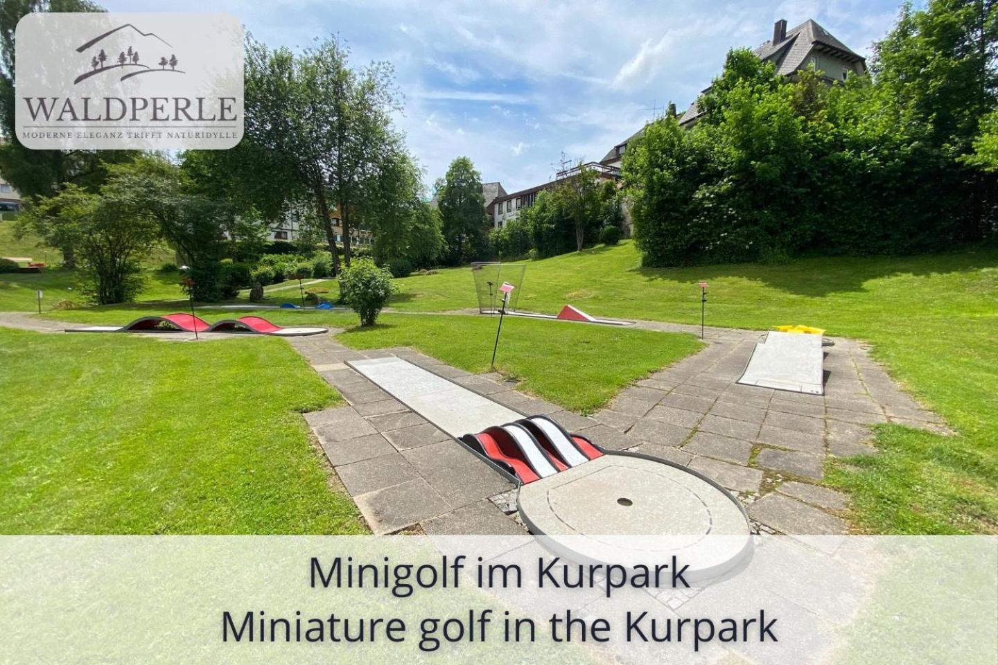 Exklusives 5-Sterne Apartment Waldperle Mit Indoor-Pool, Sauna, Top Lage Und Ausblick In Die Natur, Hunde Willkommen Schonach im Schwarzwald Luaran gambar