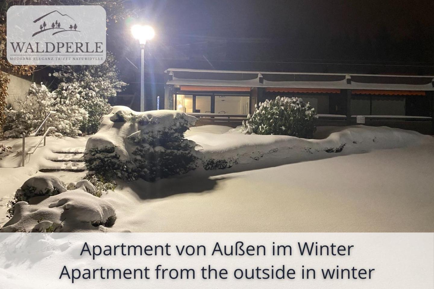 Exklusives 5-Sterne Apartment Waldperle Mit Indoor-Pool, Sauna, Top Lage Und Ausblick In Die Natur, Hunde Willkommen Schonach im Schwarzwald Luaran gambar