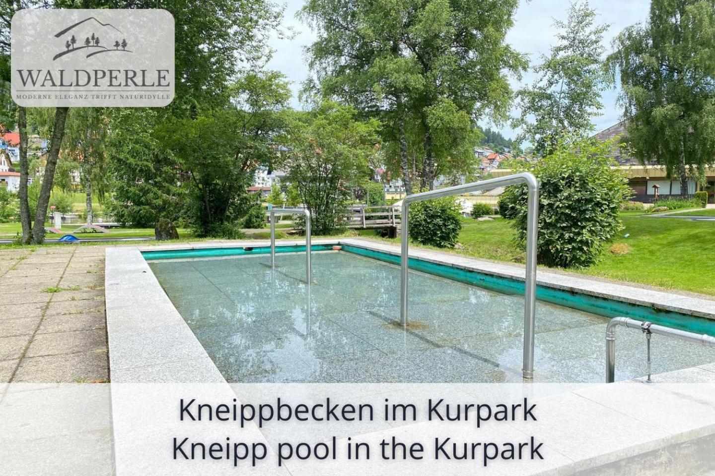 Exklusives 5-Sterne Apartment Waldperle Mit Indoor-Pool, Sauna, Top Lage Und Ausblick In Die Natur, Hunde Willkommen Schonach im Schwarzwald Luaran gambar