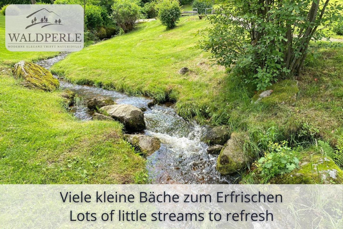 Exklusives 5-Sterne Apartment Waldperle Mit Indoor-Pool, Sauna, Top Lage Und Ausblick In Die Natur, Hunde Willkommen Schonach im Schwarzwald Luaran gambar