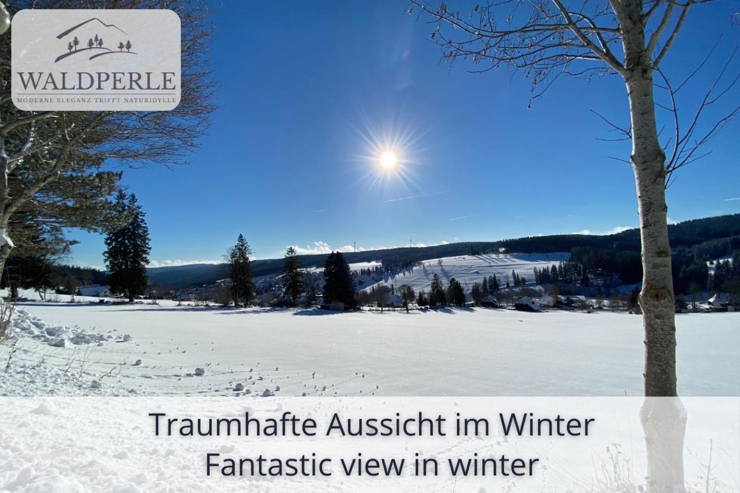 Exklusives 5-Sterne Apartment Waldperle Mit Indoor-Pool, Sauna, Top Lage Und Ausblick In Die Natur, Hunde Willkommen Schonach im Schwarzwald Luaran gambar