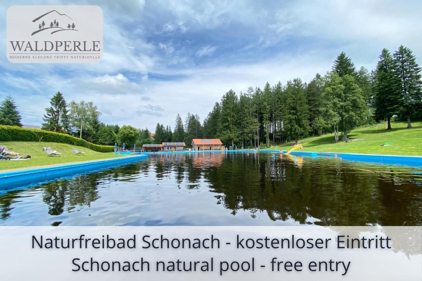 Exklusives 5-Sterne Apartment Waldperle Mit Indoor-Pool, Sauna, Top Lage Und Ausblick In Die Natur, Hunde Willkommen Schonach im Schwarzwald Luaran gambar