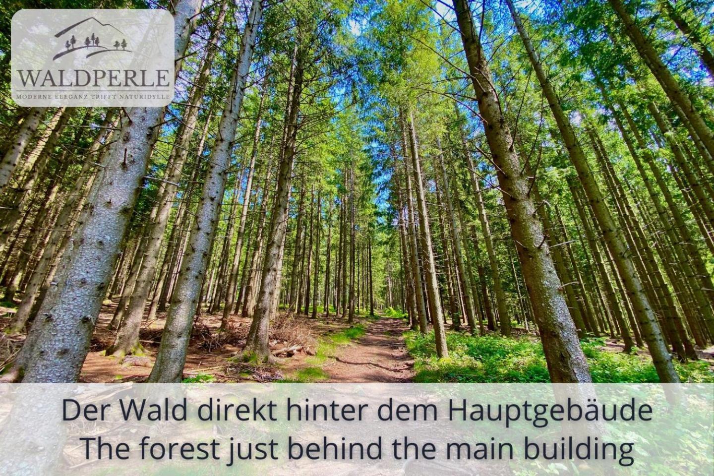 Exklusives 5-Sterne Apartment Waldperle Mit Indoor-Pool, Sauna, Top Lage Und Ausblick In Die Natur, Hunde Willkommen Schonach im Schwarzwald Luaran gambar