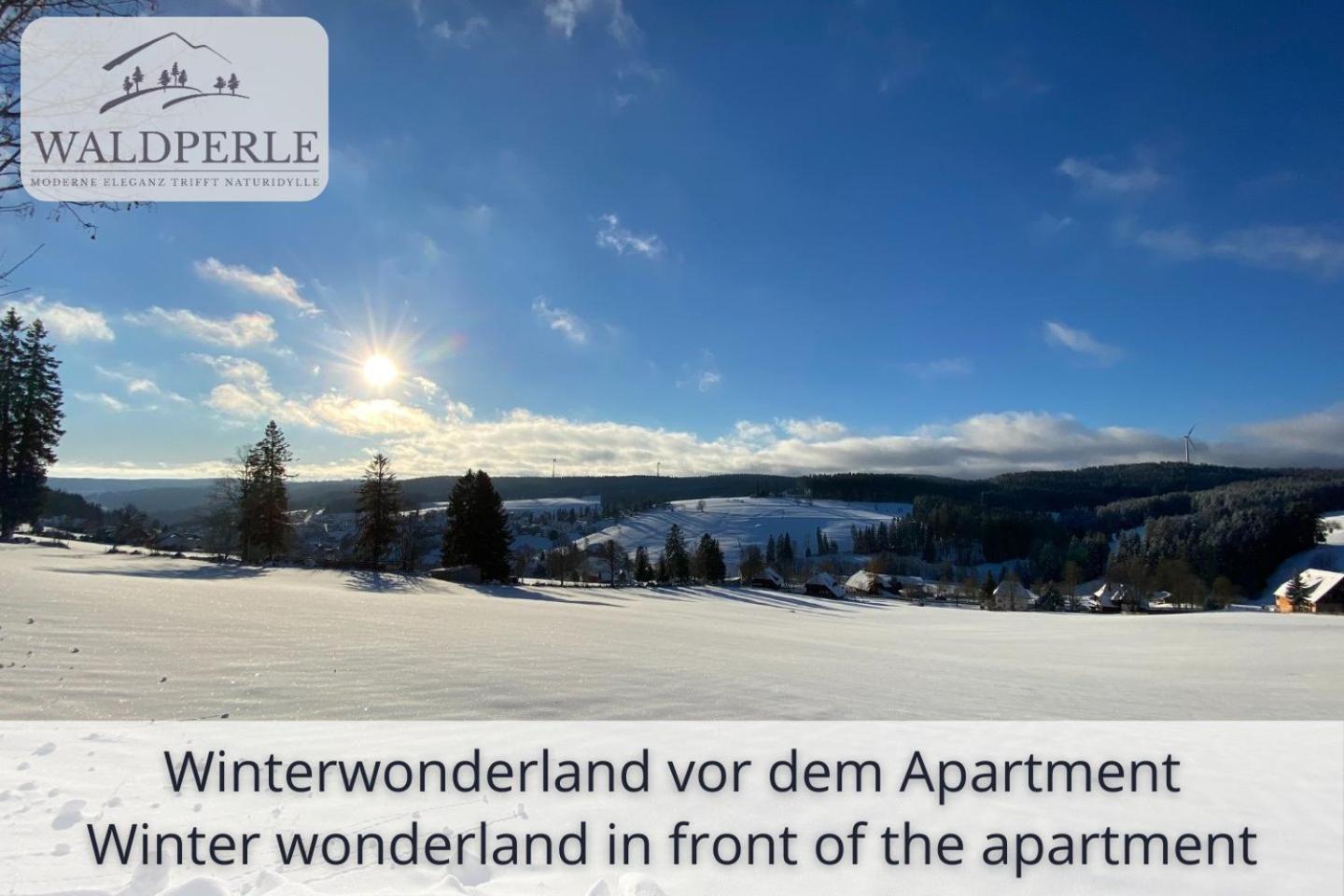 Exklusives 5-Sterne Apartment Waldperle Mit Indoor-Pool, Sauna, Top Lage Und Ausblick In Die Natur, Hunde Willkommen Schonach im Schwarzwald Luaran gambar