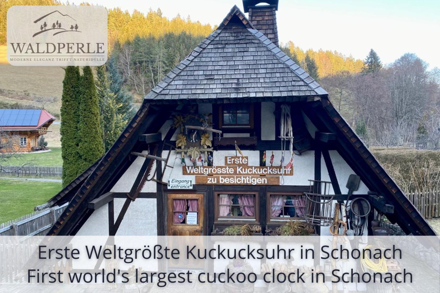 Exklusives 5-Sterne Apartment Waldperle Mit Indoor-Pool, Sauna, Top Lage Und Ausblick In Die Natur, Hunde Willkommen Schonach im Schwarzwald Luaran gambar