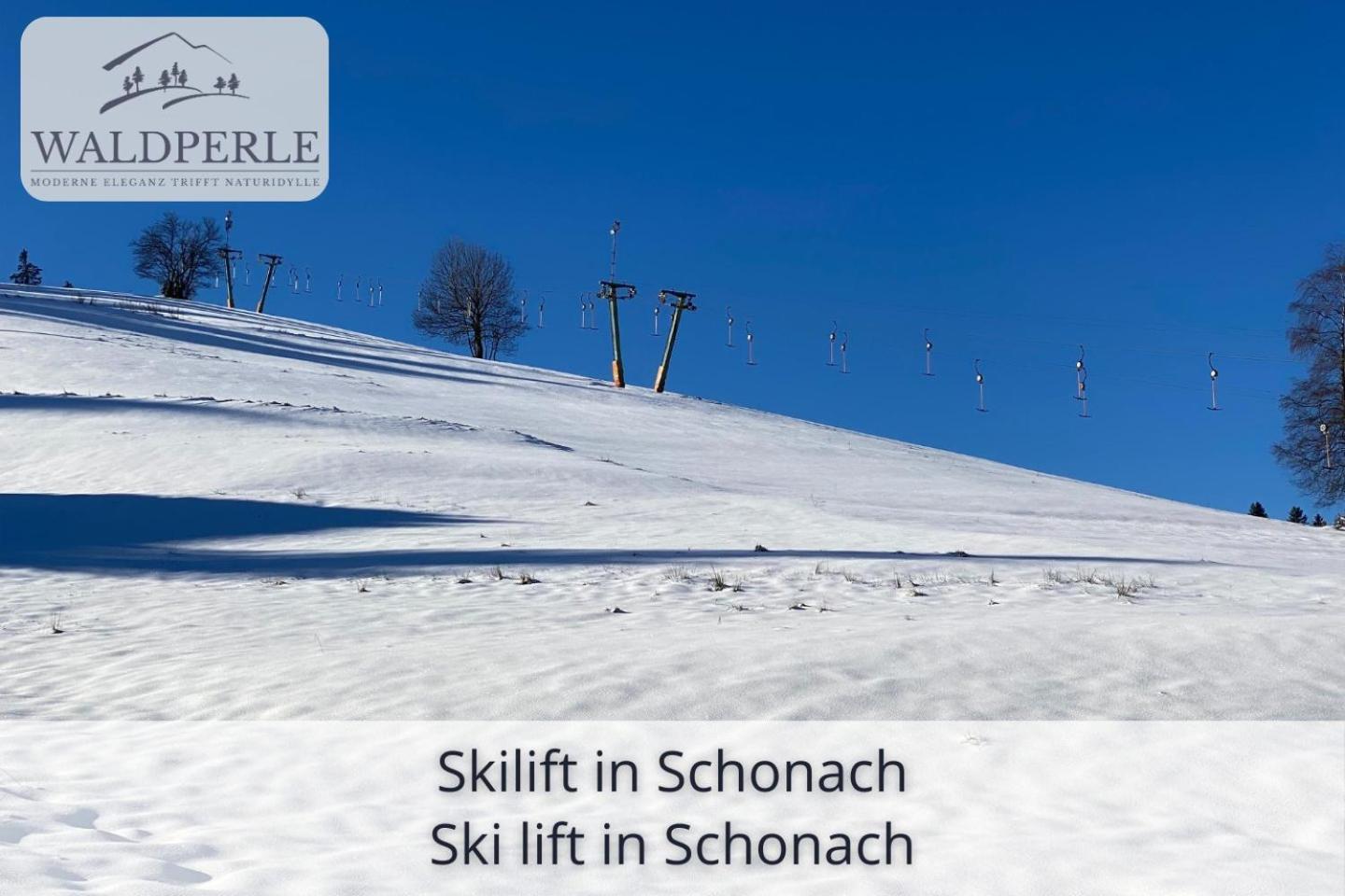 Exklusives 5-Sterne Apartment Waldperle Mit Indoor-Pool, Sauna, Top Lage Und Ausblick In Die Natur, Hunde Willkommen Schonach im Schwarzwald Luaran gambar