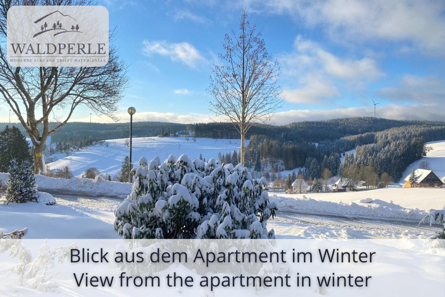 Exklusives 5-Sterne Apartment Waldperle Mit Indoor-Pool, Sauna, Top Lage Und Ausblick In Die Natur, Hunde Willkommen Schonach im Schwarzwald Luaran gambar