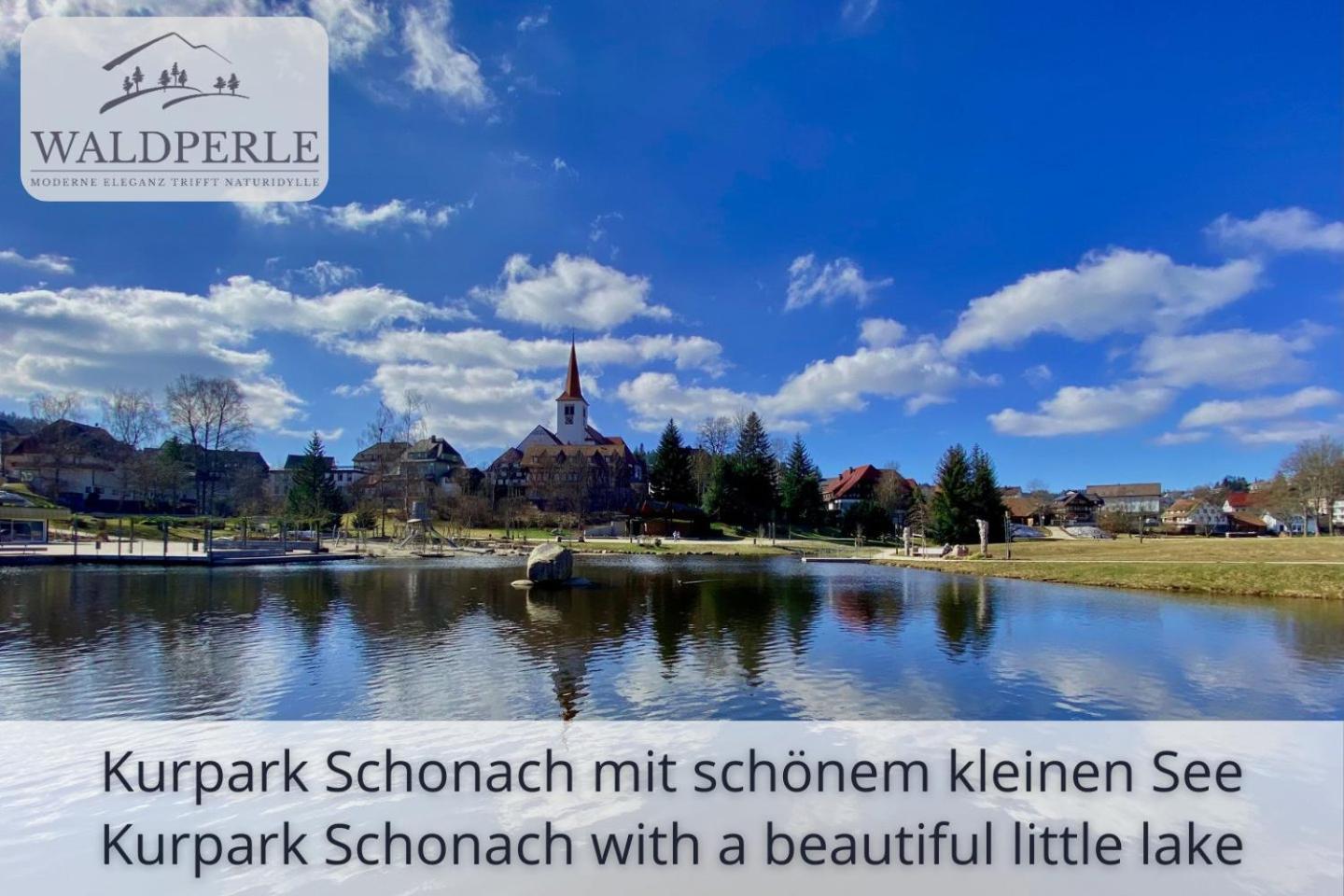 Exklusives 5-Sterne Apartment Waldperle Mit Indoor-Pool, Sauna, Top Lage Und Ausblick In Die Natur, Hunde Willkommen Schonach im Schwarzwald Luaran gambar
